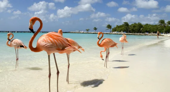Aruba