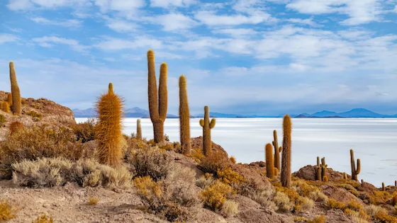 Salar de Uyuni