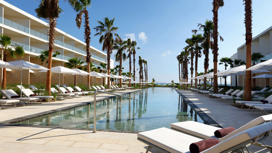 Imagen de portada de Experiencia Palladium