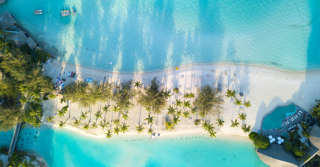 Imagen de portada de Recomendados: Luna de miel